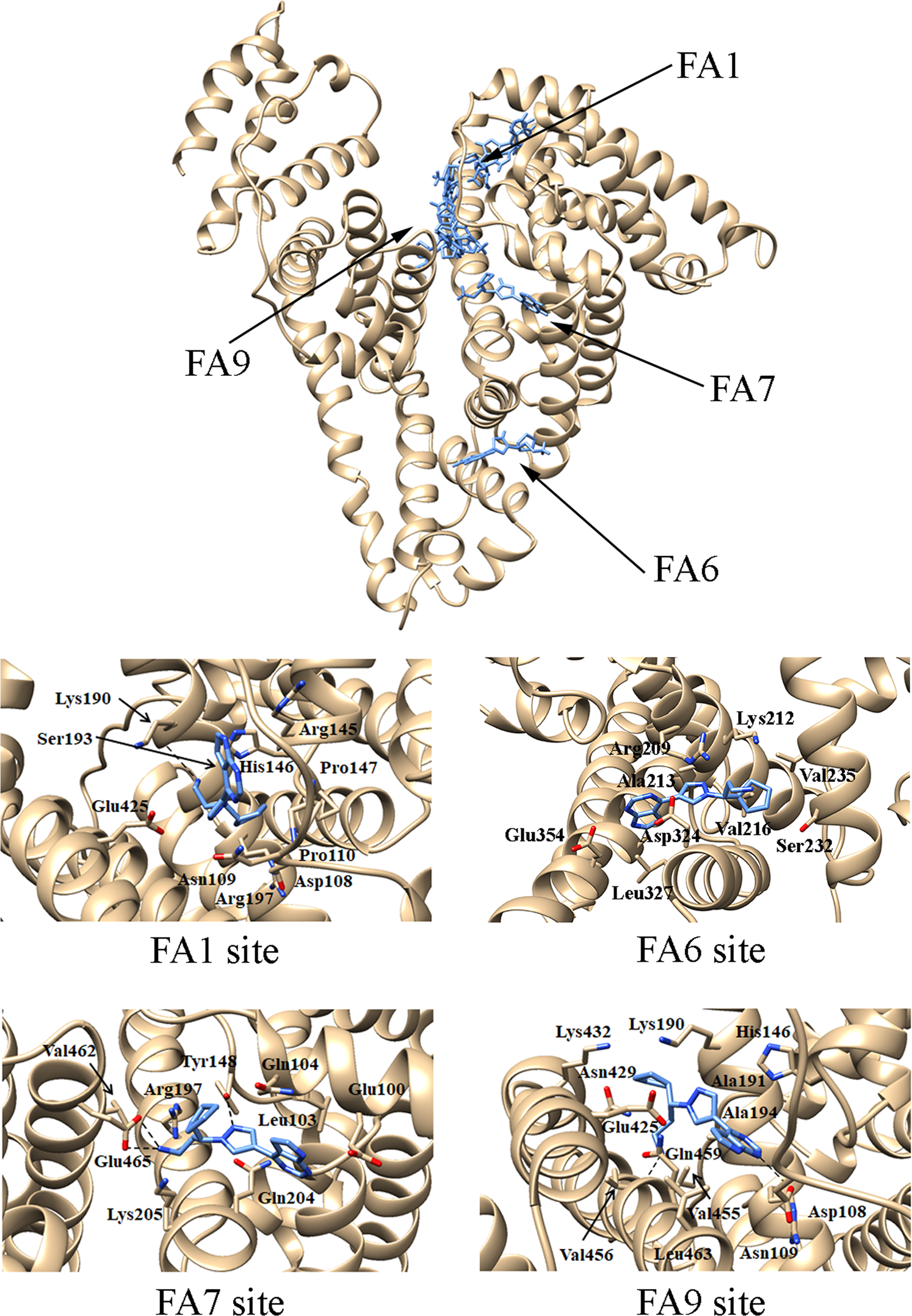 Ruxolitinib binding to human serum albumin: bioinformatics, biochemical and  functional characterization in JAK2V617F+ cell models | Scientific Reports