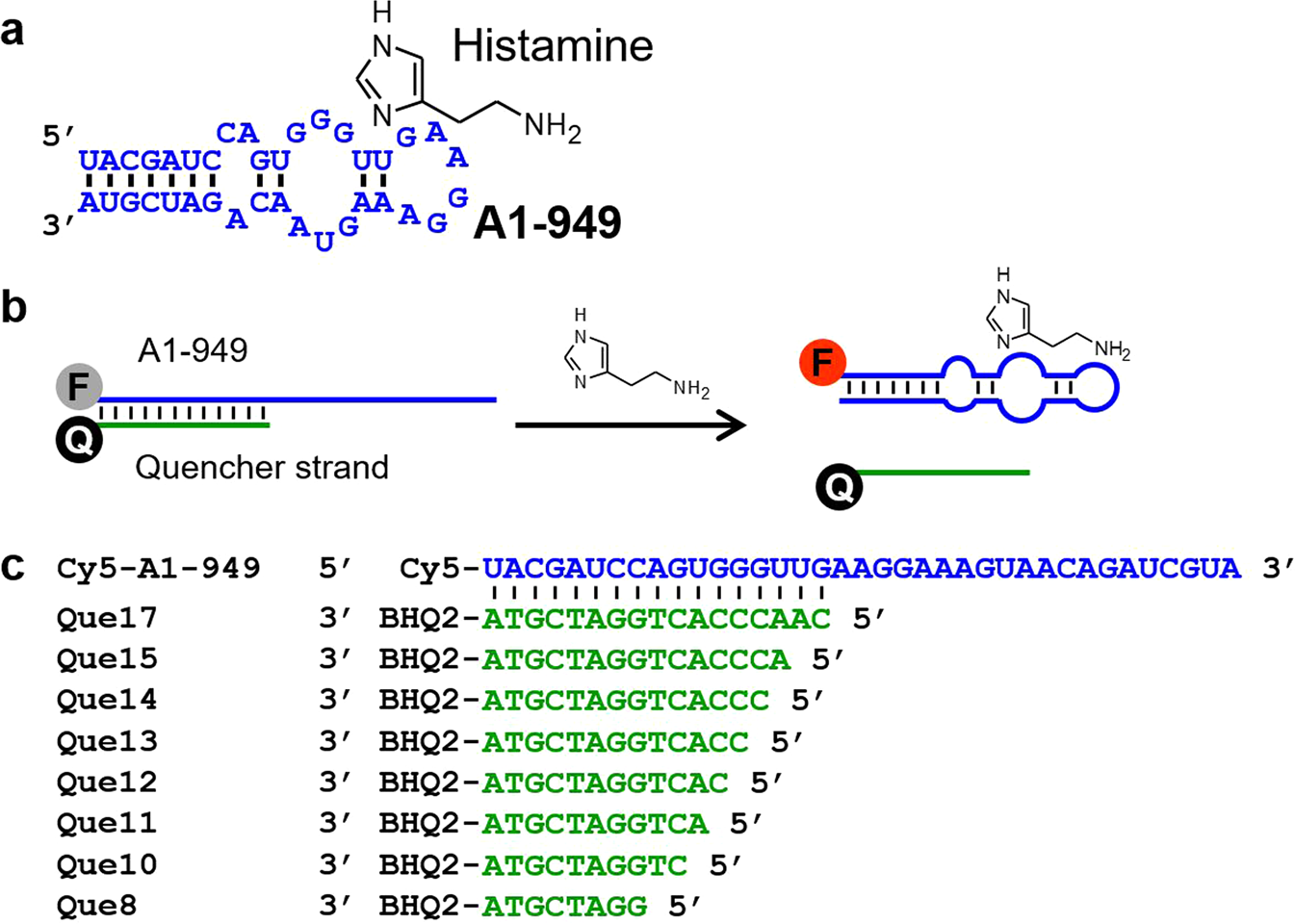 Development of a histamine aptasensor for food safety monitoring ...