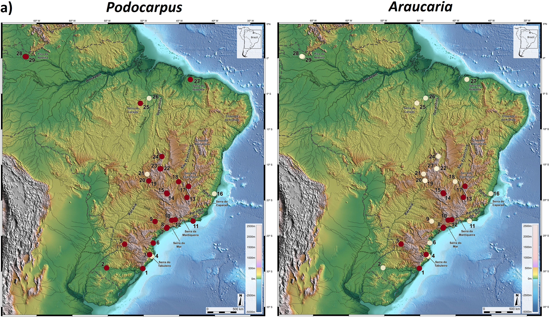 Brazilian montane rainforest expansion induced by Heinrich Stadial 1 event  | Scientific Reports