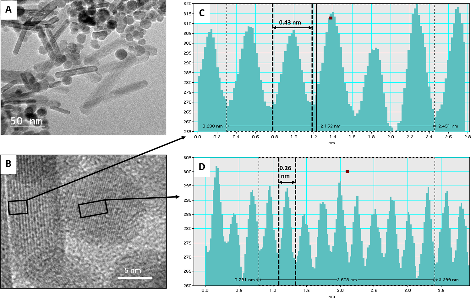 Magnetite-based nanoparticles and nanocomposites for recovery of