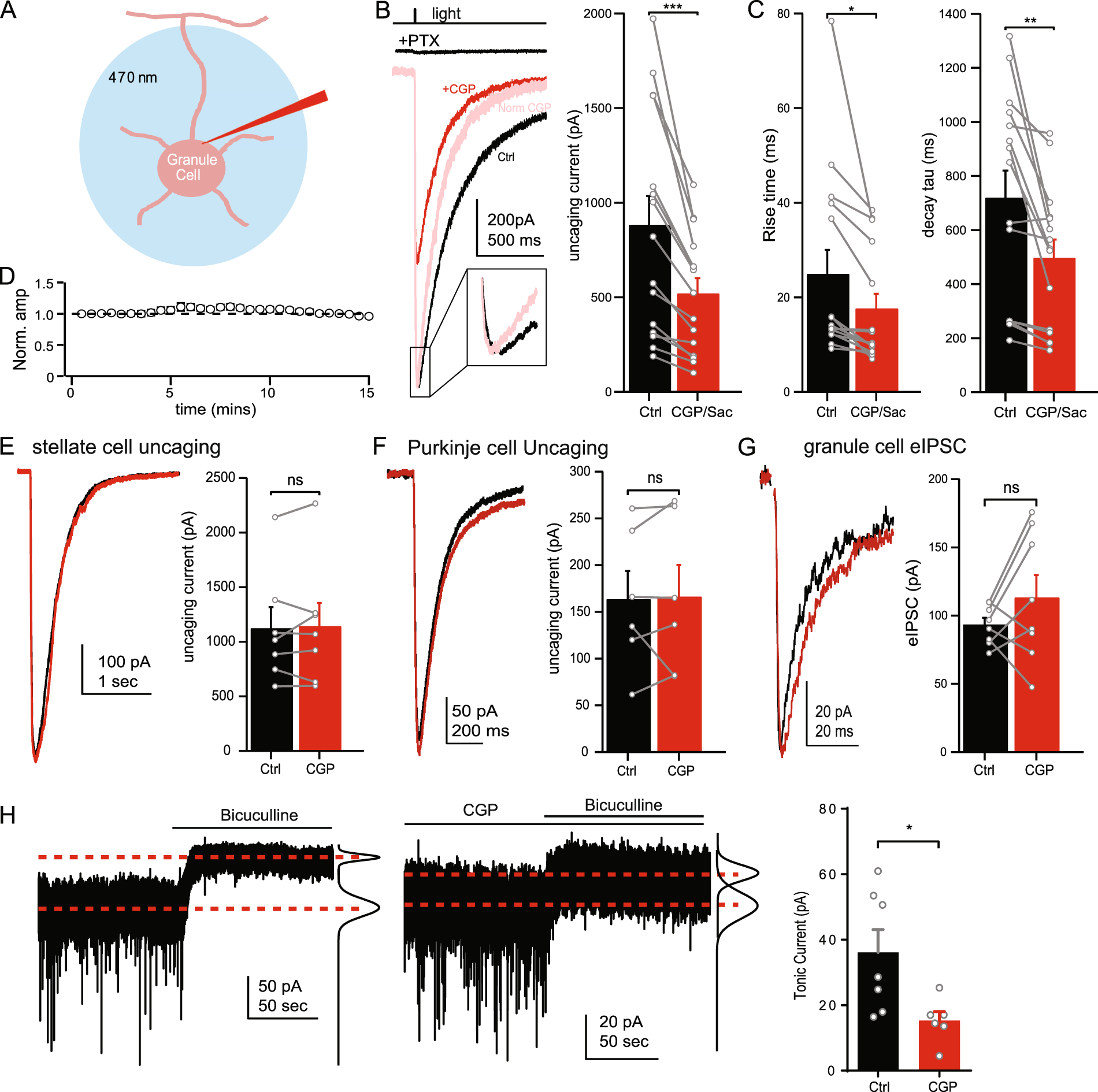 Mechanisms of GABAB receptor enhancement of extrasynaptic GABAA receptor  currents in cerebellar granule cells | Scientific Reports