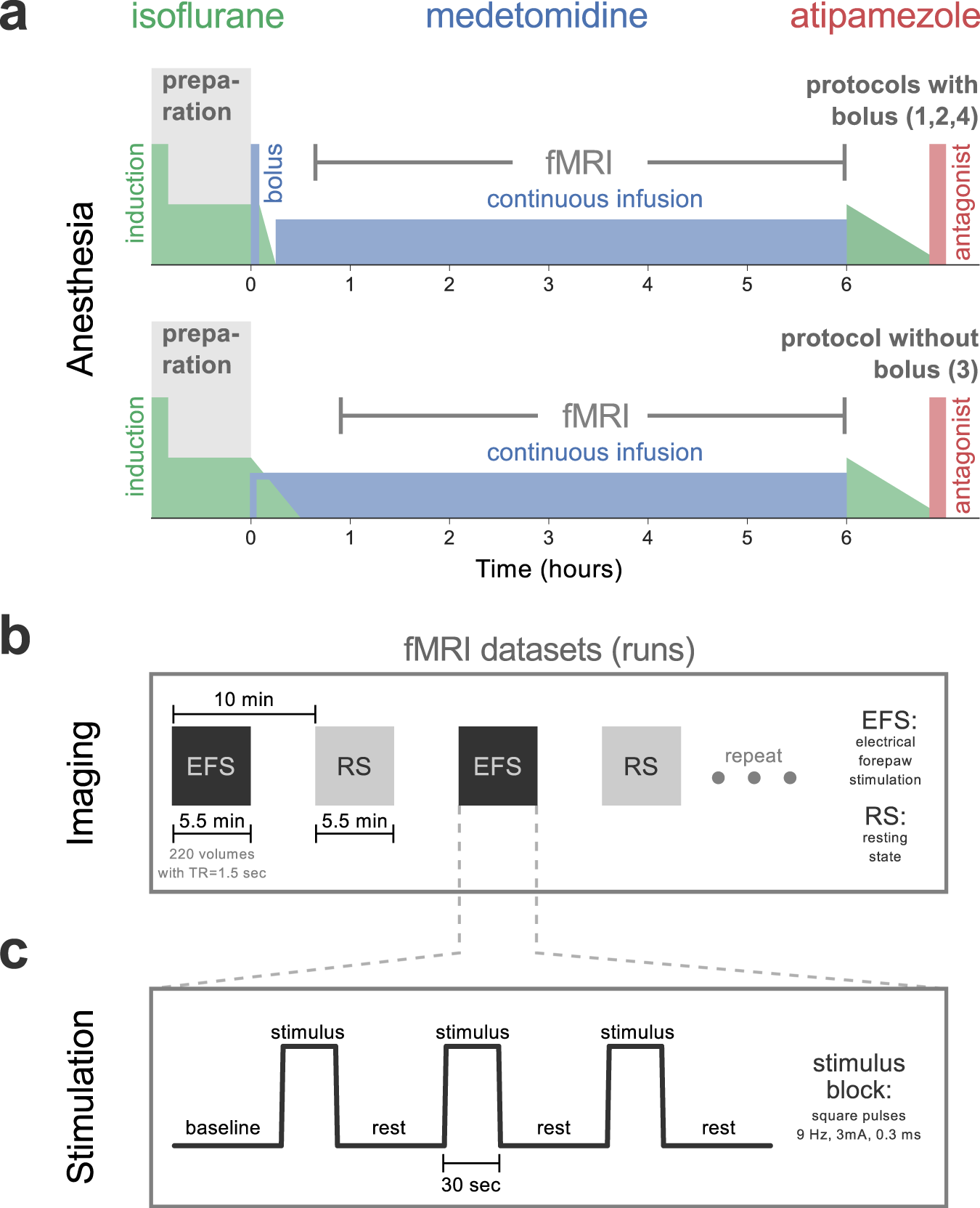 Temporal stability of fMRI in medetomidine-anesthetized rats | Scientific  Reports