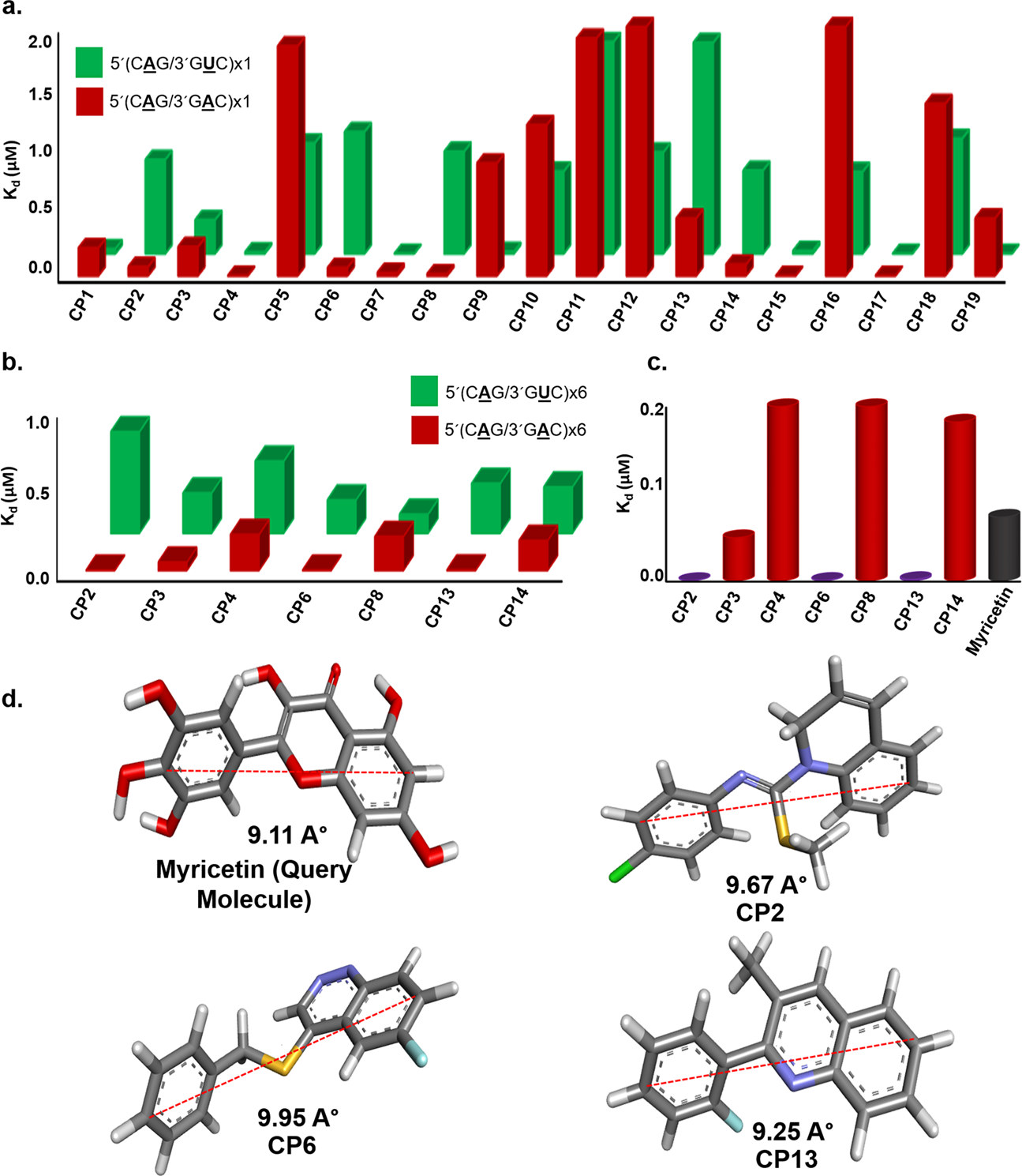 Discovery Of A Potent Small Molecule Inhibiting Huntington S Disease Hd Pathogenesis Via Targeting Cag Repeats Rna And Poly Q Protein Scientific Reports