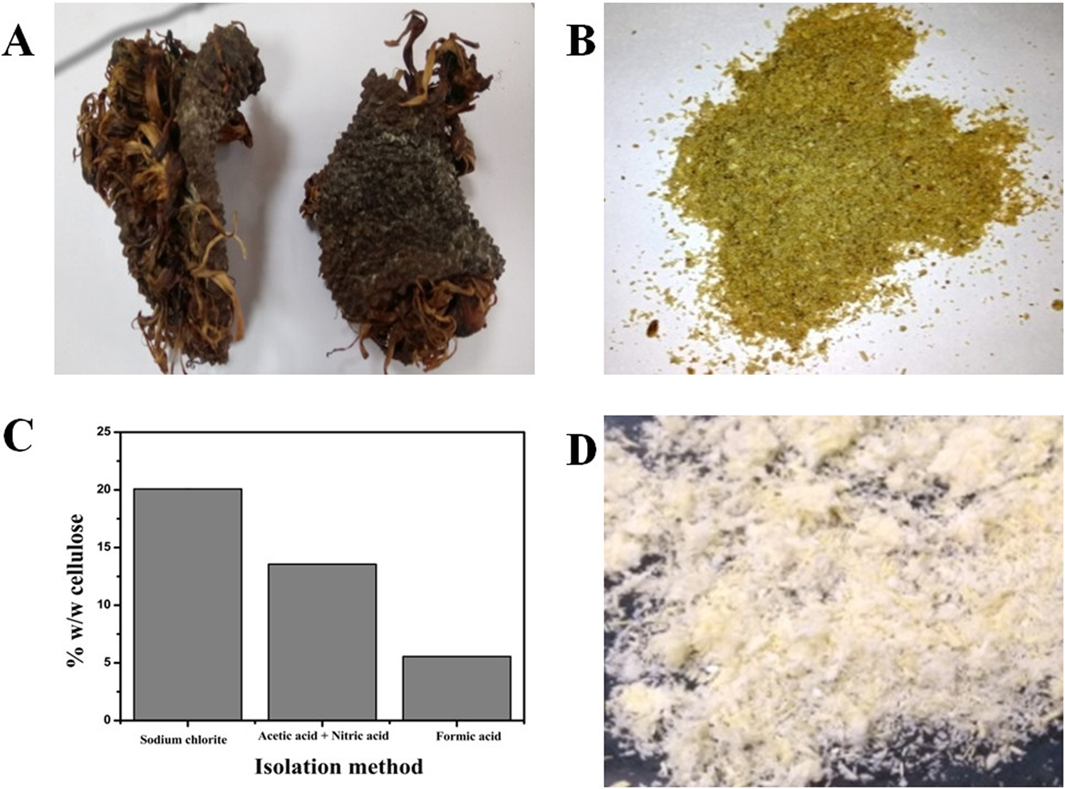 Isolation And Characterization Of Cellulose Nanocrystals From Jackfruit Peel Scientific Reports