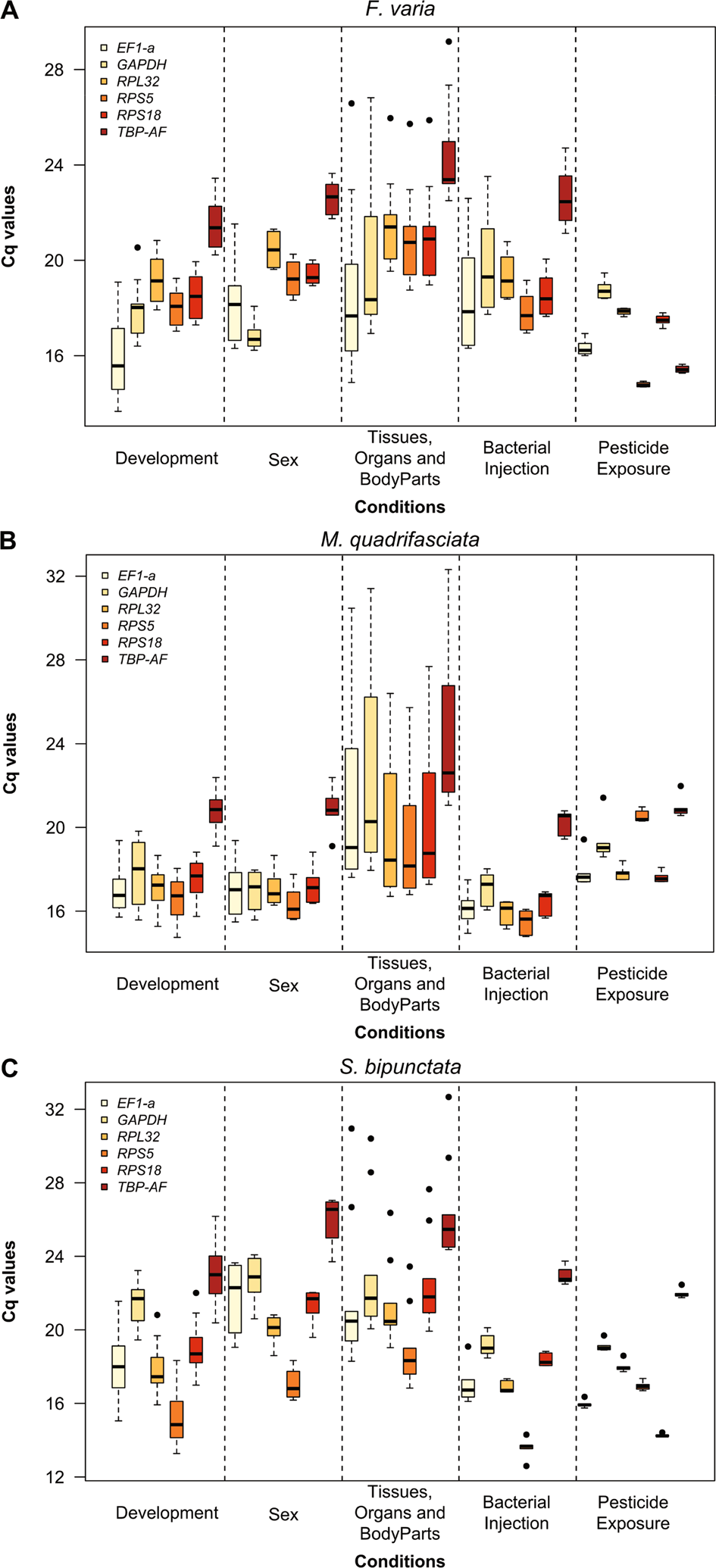 Evaluation of reference genes for gene expression analysis by real-time quantitative  PCR (qPCR) in three stingless bee species (Hymenoptera: Apidae: Meliponini)  | Scientific Reports