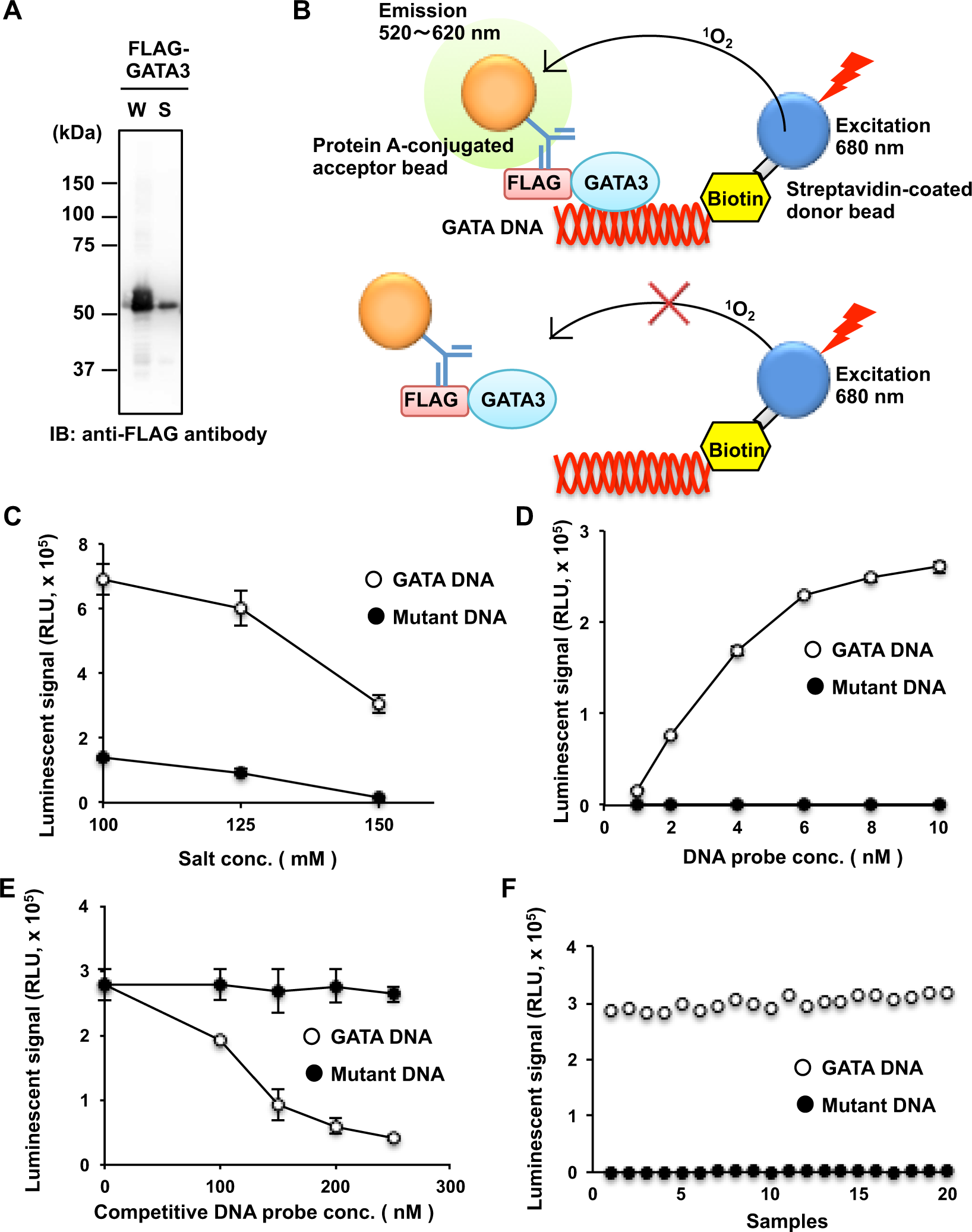 Pyrrothiogatain acts as an inhibitor of GATA family proteins and inhibits  Th2 cell differentiation in vitro | Scientific Reports