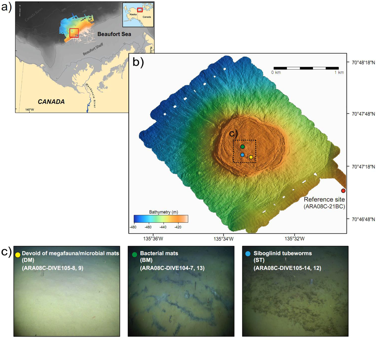 Discriminative biogeochemical signatures of methanotrophs in different  chemosynthetic habitats at an active mud volcano in the Canadian Beaufort  Sea | Scientific Reports