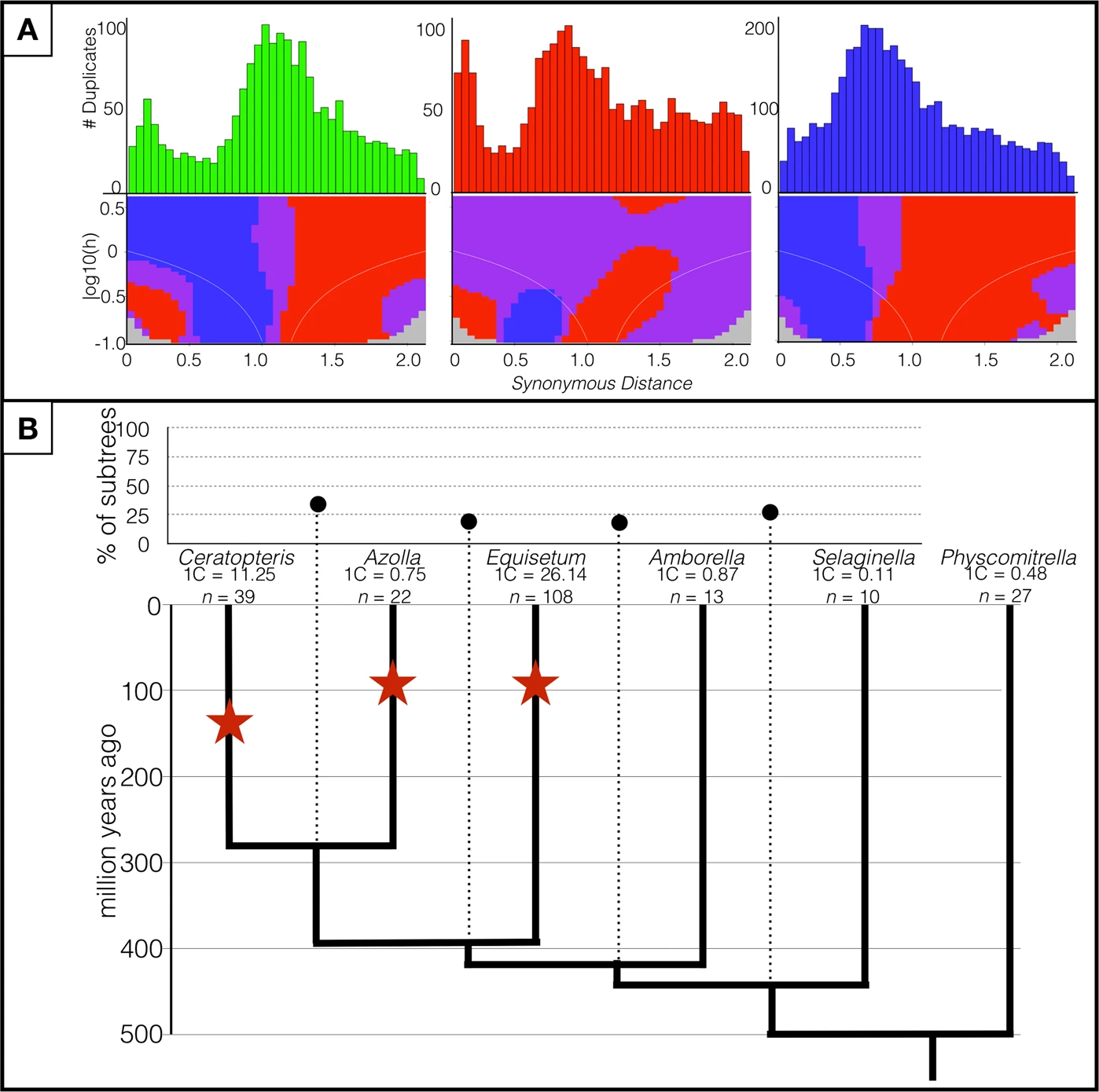 Polyploidy analyses of three fern species. (A) Paralog-age distribution analyses and associated SiZER plots of three fern species. Upper panels are Ks-based histograms (0.05 bins) of paralogs in Ceratopteris richardii, Azolla filiculoides, and Equisetum giganteum. Lower panels are SiZER plots of the above paralog-age distribution data and associated smoothing functions where blue indicates significant (α = 0.05) increases, red significant decreases, purple insignificance, and gray too few data points to determine. The white lines show the effective window widths for each bandwidth. Both upper and lower panels are on the same x-axis. (B) MAPS analysis across land plants and the associated WGD events (shown as stars). The percentages of subtrees that contain gene duplications shared by the descendent species of a given node are above the phylogeny (connected by dotted lines). Dates are based on Testo and Sundue70 and Morris et al.67.