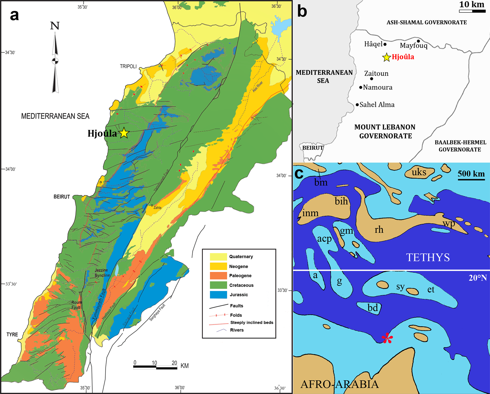 PDF] A New Crested Pterosaur from the Early Cretaceous of Spain: The First  European Tapejarid (Pterodactyloidea: Azhdarchoidea)