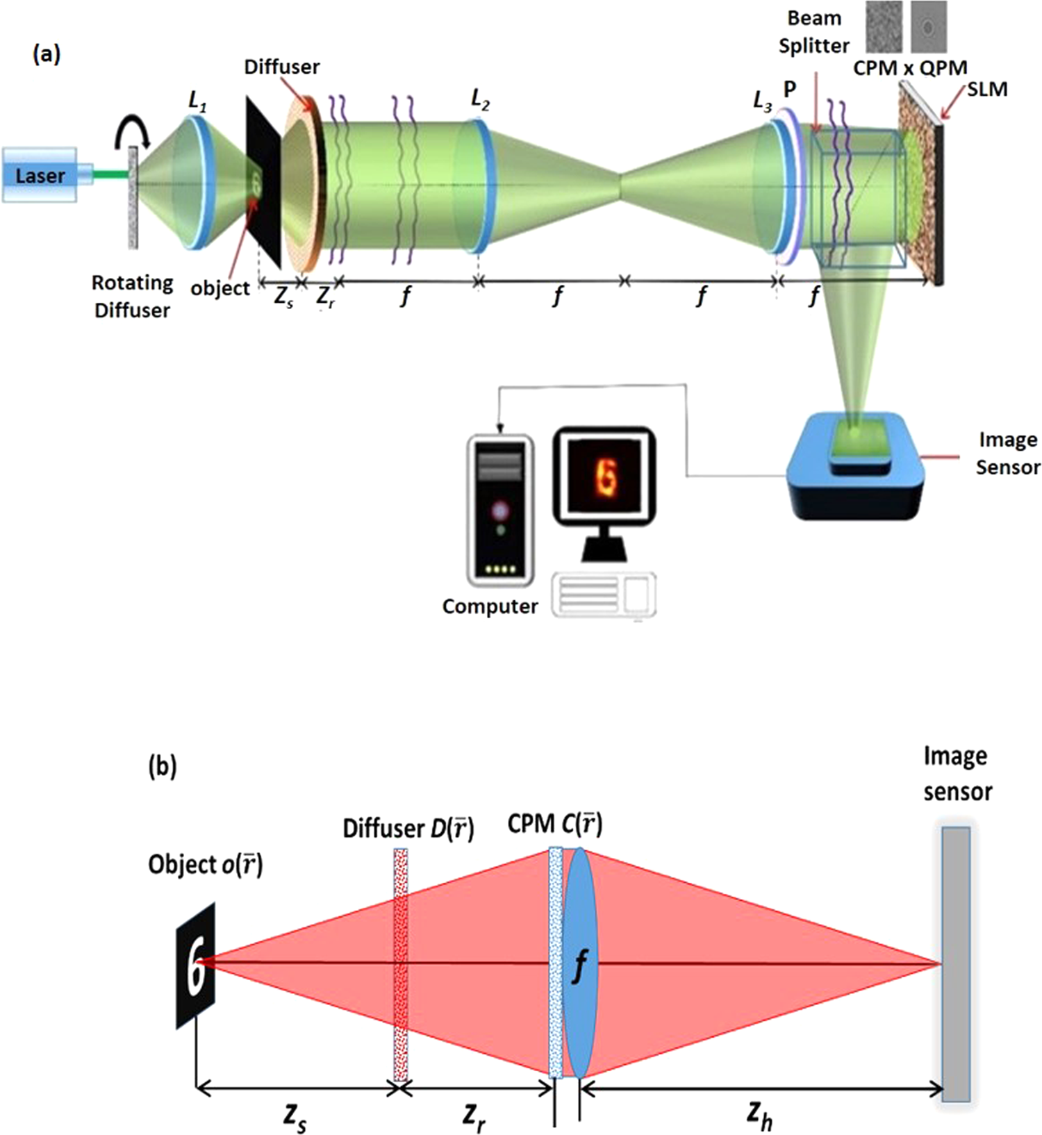 Spatial light modulator aided noninvasive imaging through scattering layers  | Scientific Reports