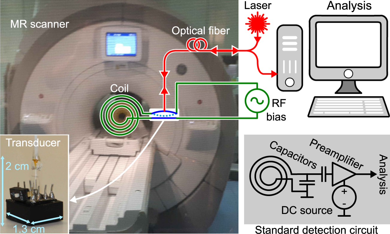 Magnetic resonance imaging with optical preamplification and detection |  Scientific Reports