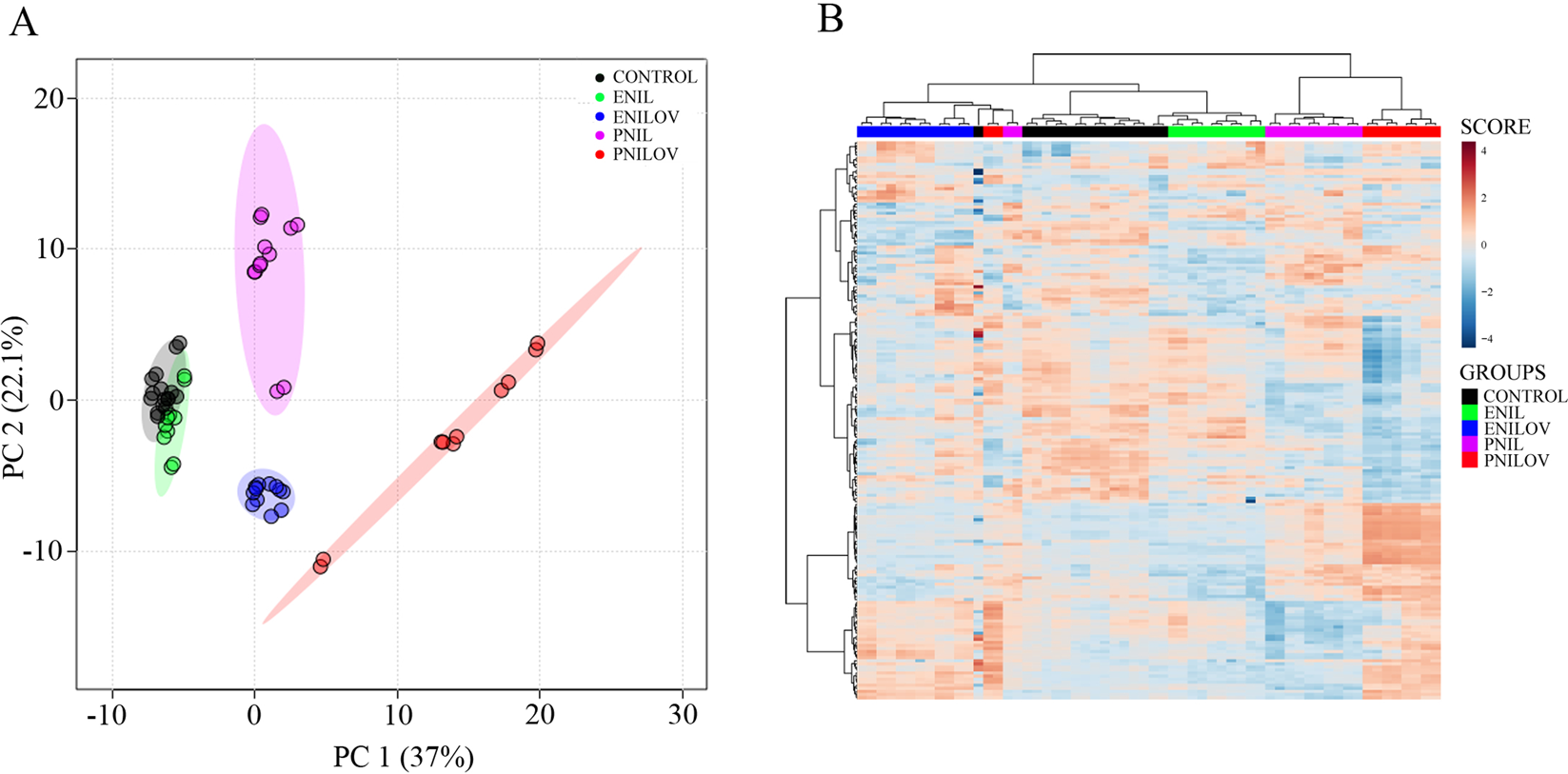 The Effect Of W 3 Polyunsaturated Fatty Acids On The Liver Lipidome Proteome And Bile Acid Profile Parenteral Versus Enteral Administration Scientific Reports