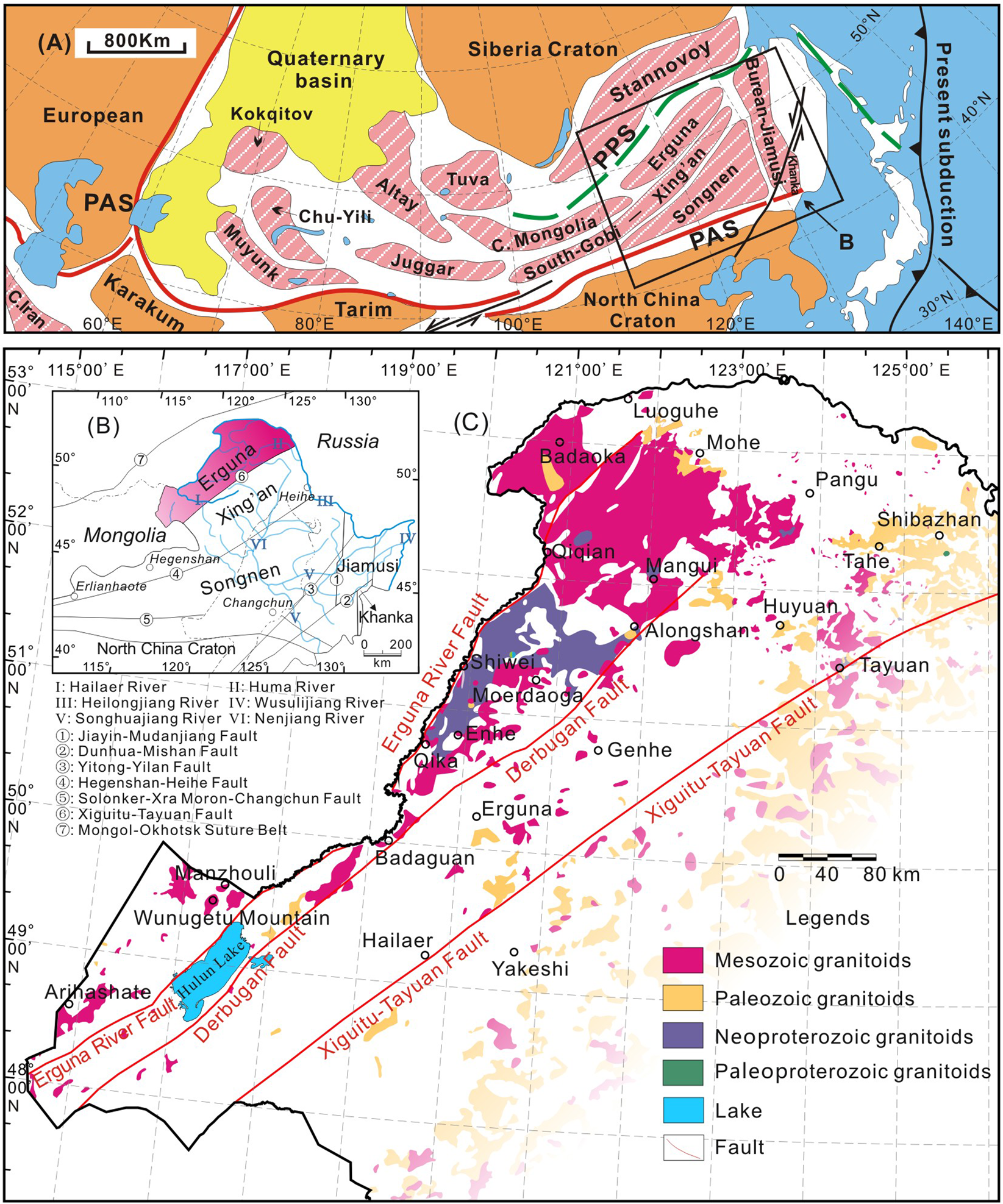 Paleozoic tectonic evolution of the eastern Central Asian Orogenic