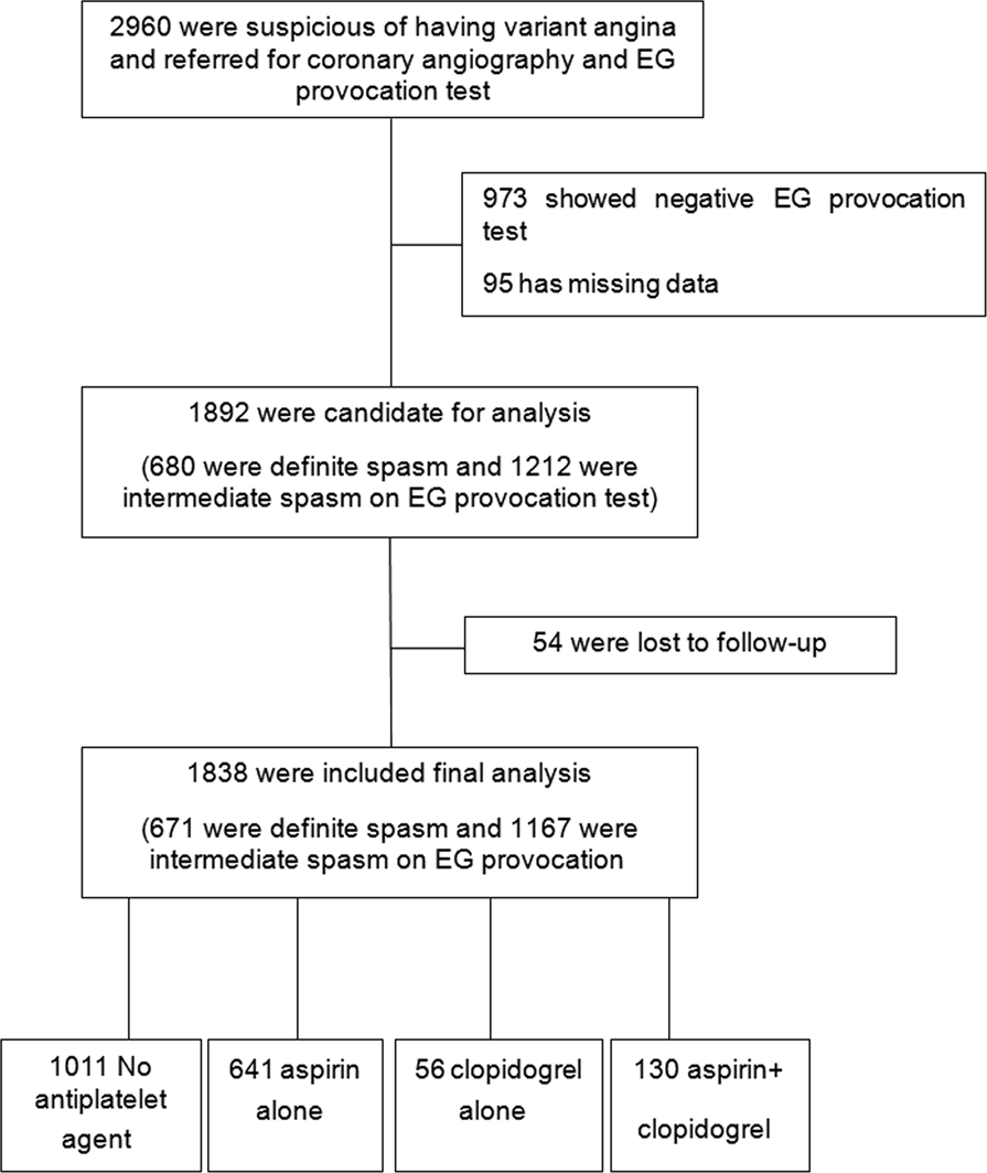 Clopidogrel Plus Aspirin Use Is Associated With Worse Long Term Outcomes But Aspirin Use Alone Is Safe In Patients With Vasospastic Angina Results From The Va Korea Registry A Prospective Multi Center Cohort Scientific Clopidogrel Plus Aspirin Use Is Associated With Worse Long Term Outcomes But Aspirin Use Alone Is Safe In Patients With Vasospastic Angina Results From The Va Korea Registry A Prospective Multi Center Cohort Scientific