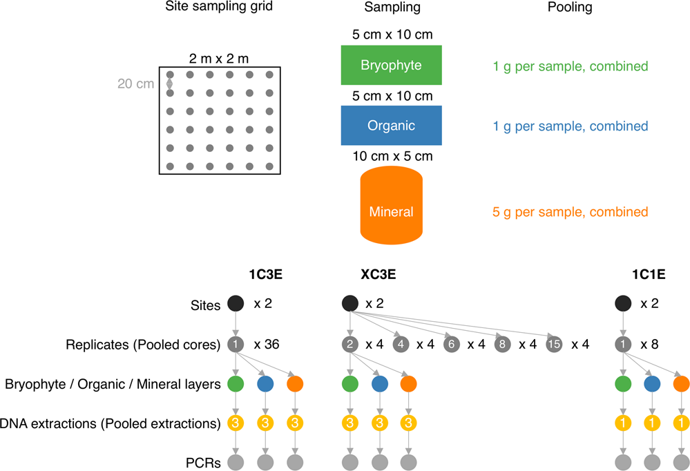 Using airborne DNA to monitor insect biodiversity - Tech Explorist