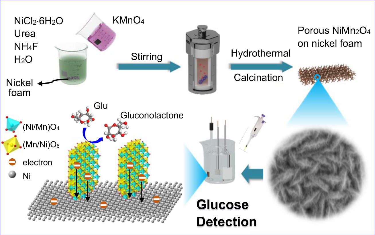 Fabrication of porous NiMn2O4 nanosheet arrays on nickel foam as an  advanced sensor material for non-enzymatic glucose detection | Scientific  Reports