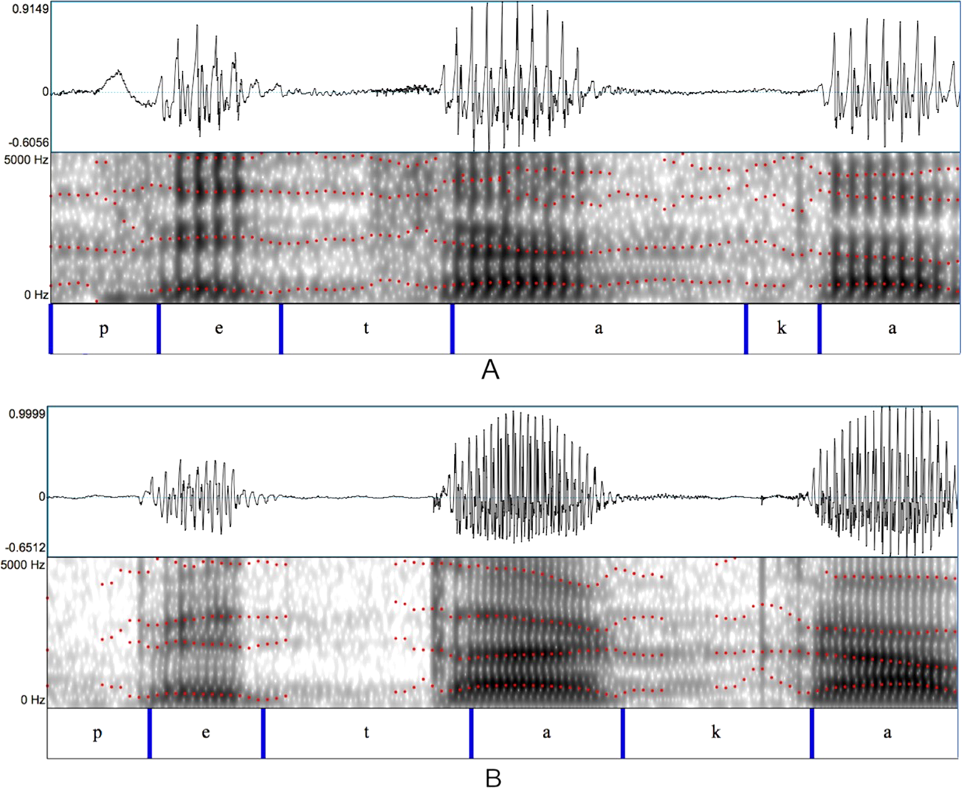 Phonetic relevance and phonemic grouping of speech in the