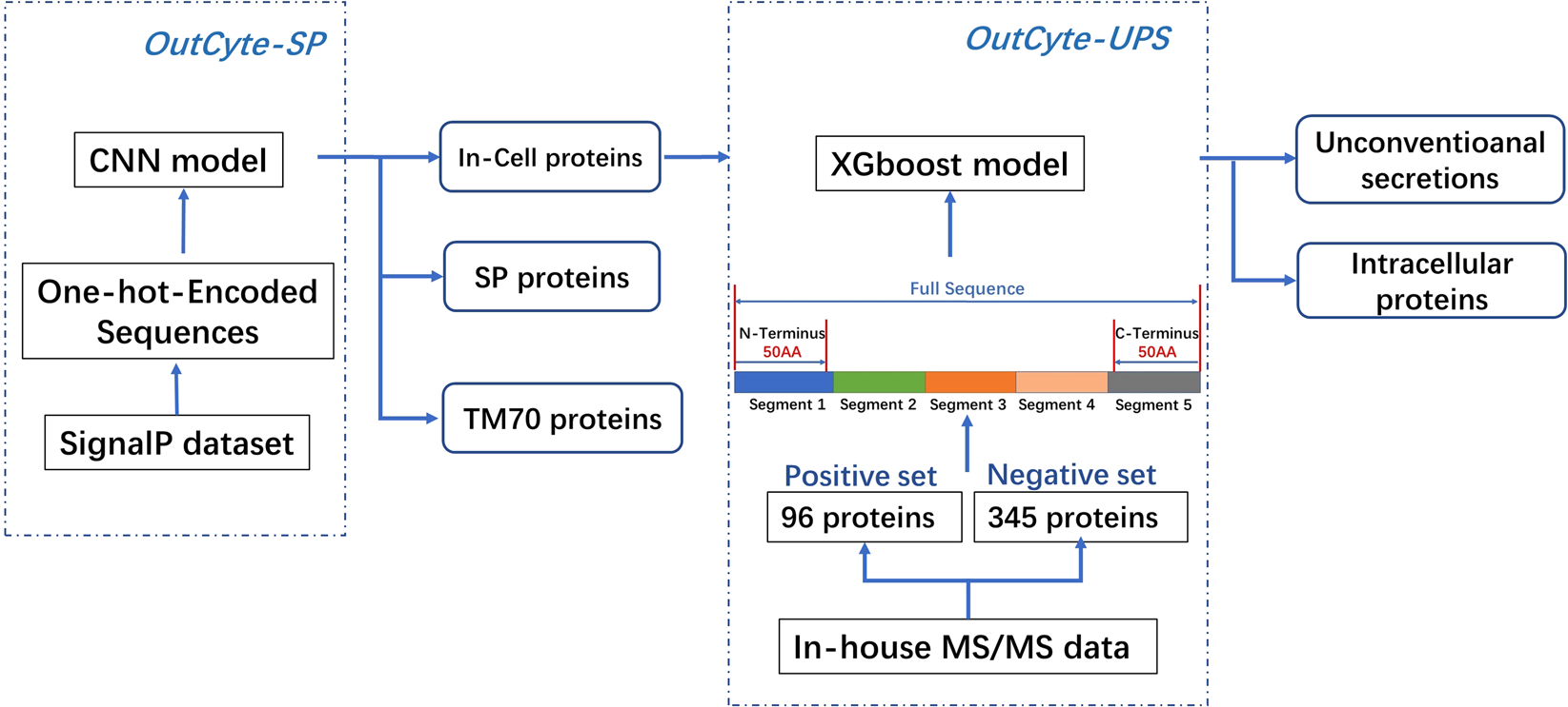 OutCyte: a novel tool for predicting unconventional protein secretion |  Scientific Reports