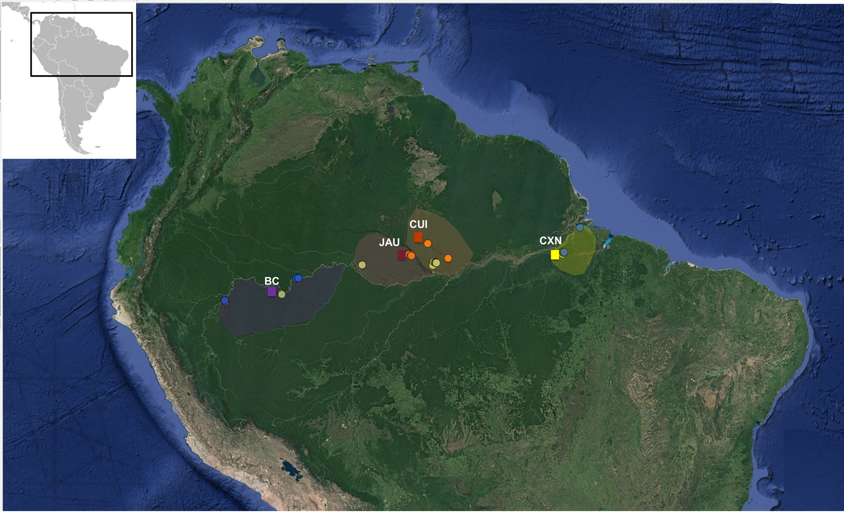 The pitfalls of biodiversity proxies: Differences in richness patterns of  birds, trees and understudied diversity across Amazonia | Scientific Reports
