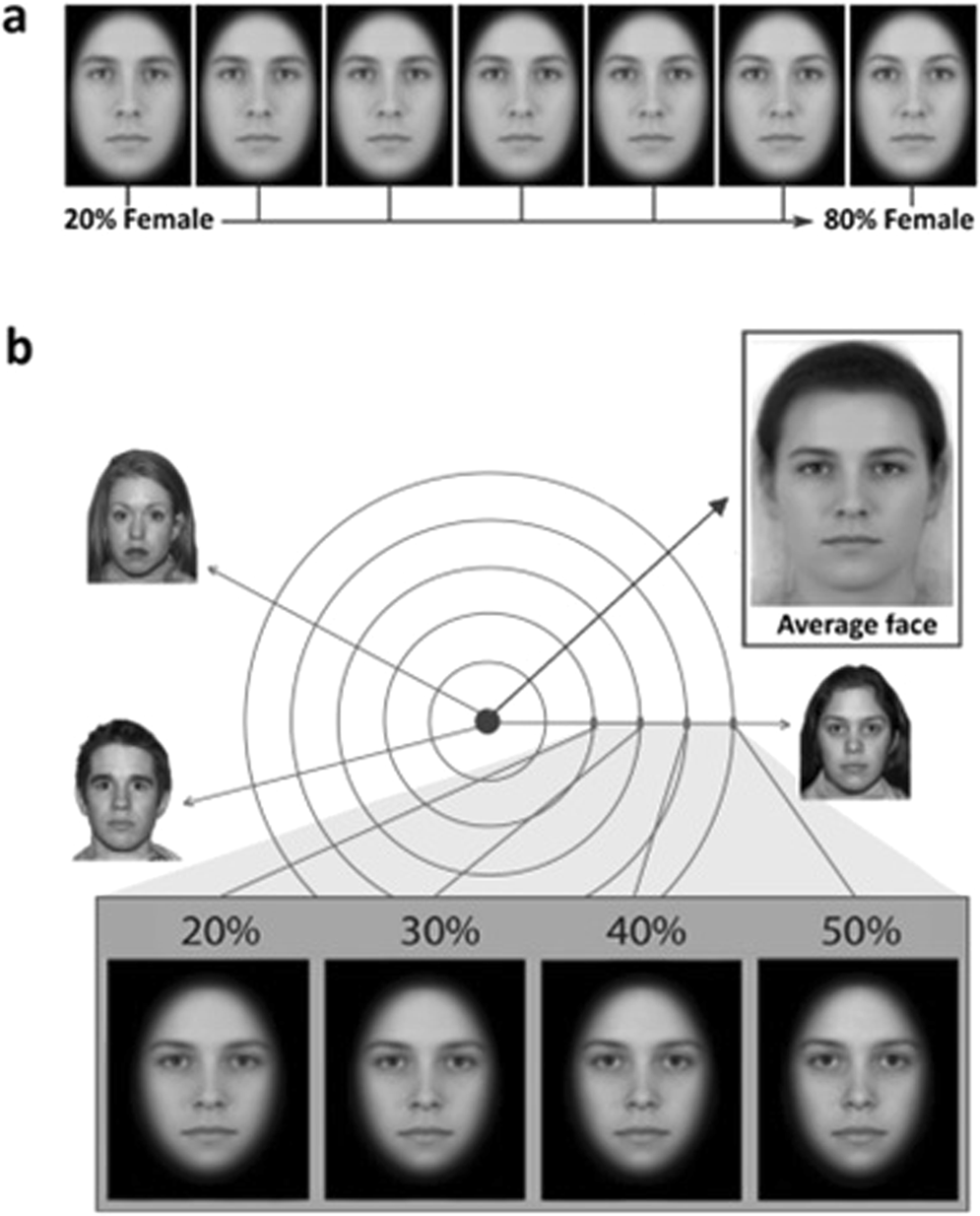 The discrimination of facial sex in developmental prosopagnosia Scientific Reports pic