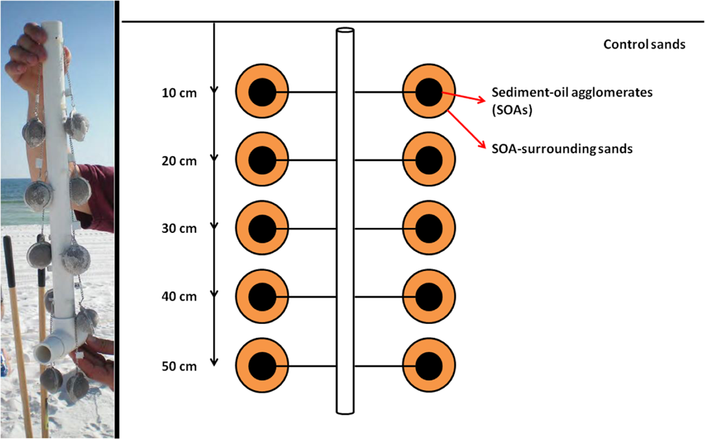 how to get core chimera oil how to get core chimera oil