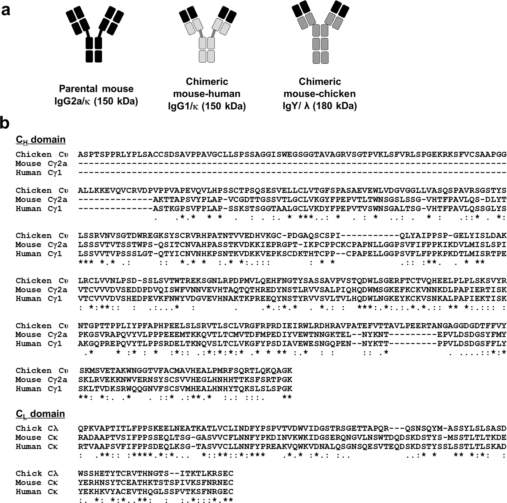 Antigen-binding affinity and thermostability of chimeric mouse-chicken IgY  and mouse-human IgG antibodies with identical variable domains | Scientific  Reports