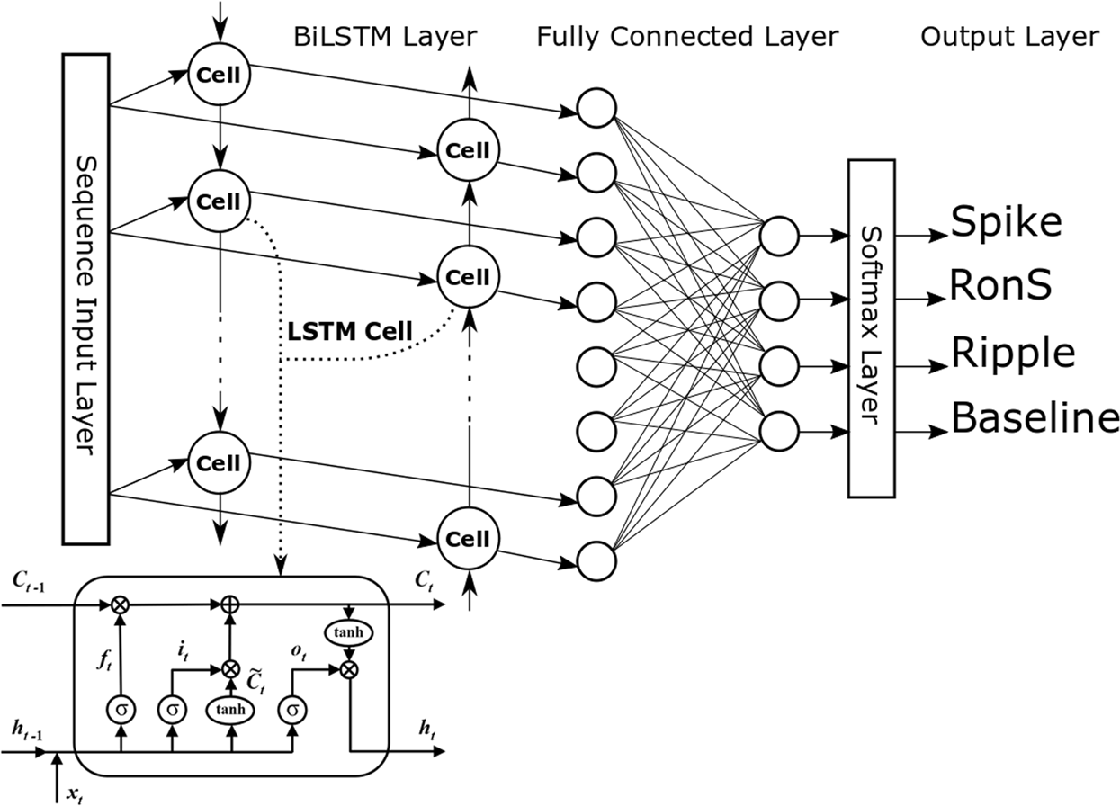 A Long Short-Term Memory neural network for the detection of epileptiform  spikes and high frequency oscillations | Scientific Reports