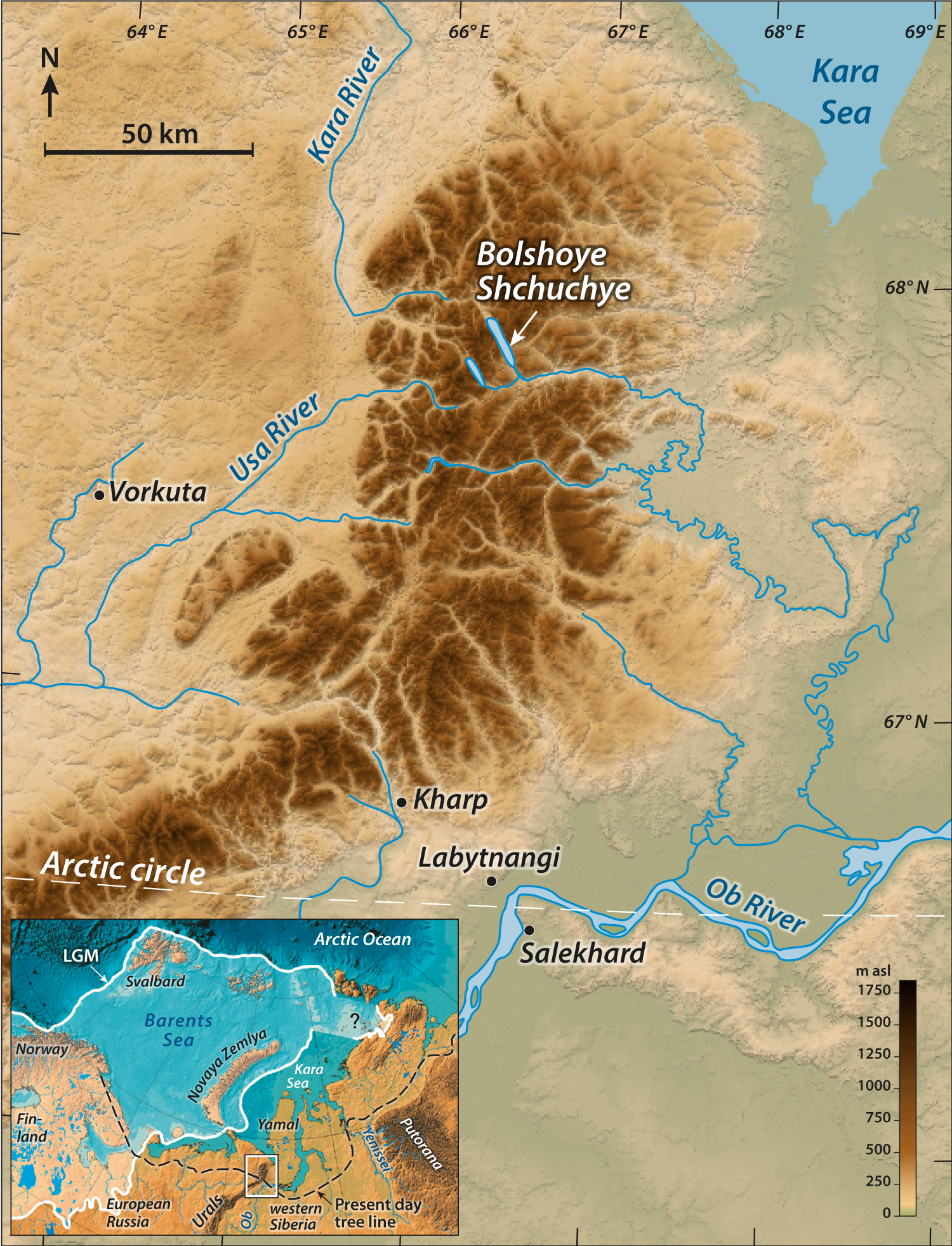Persistence Of Arctic Alpine Flora During 24 000 Years Of Environmental Change In The Polar Urals Scientific Reports