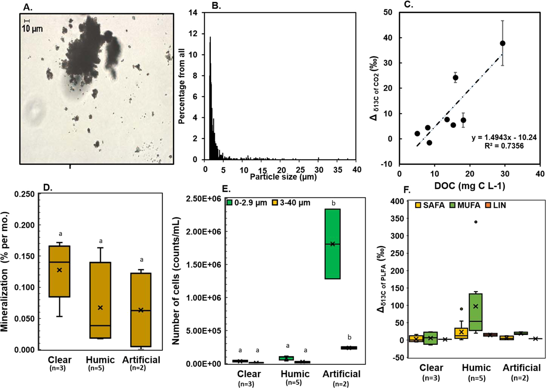 Tracing The Fate Of Microplastic Carbon In The Aquatic Food Web By Compound Specific Isotope Analysis Scientific Reports