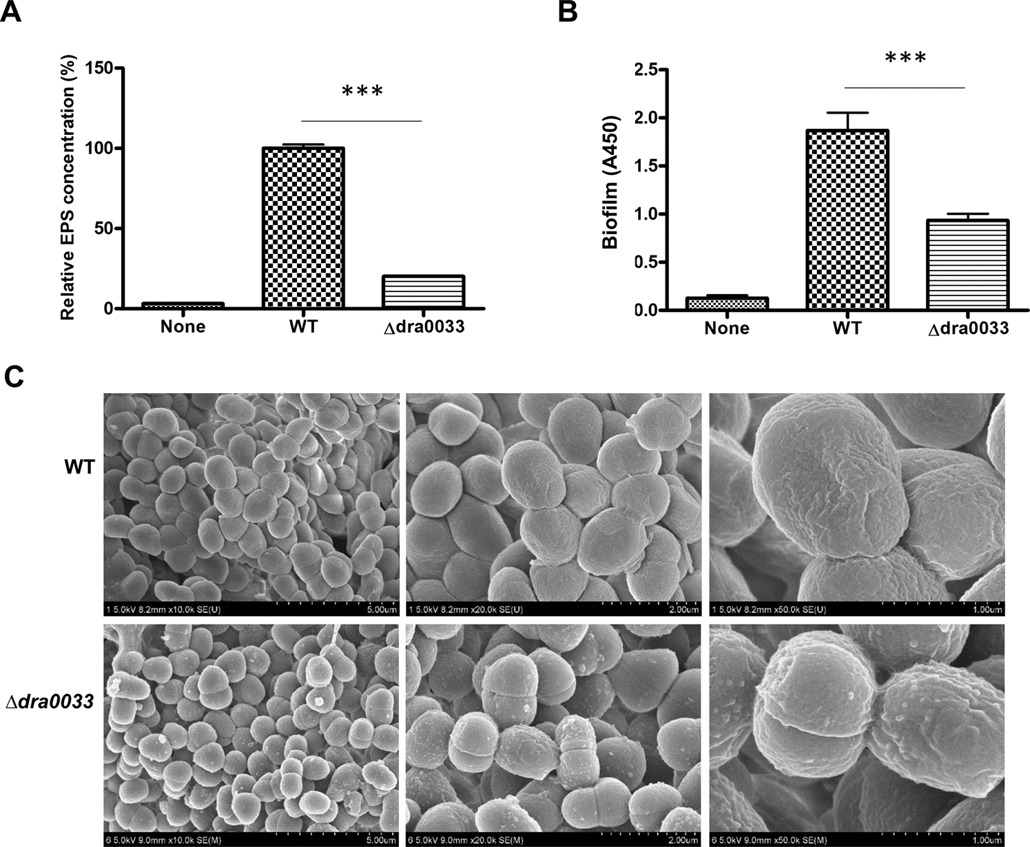 Antioxidative system of Deinococcus radiodurans - ScienceDirect