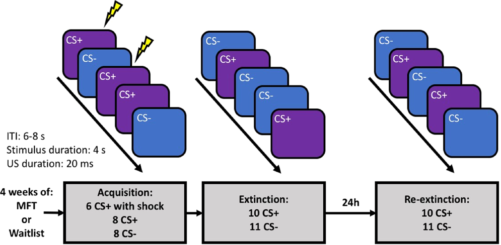 The Effect Of Mindfulness Training On Extinction Retention Scientific Reports
