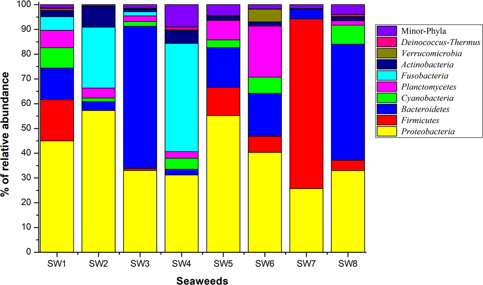 Phylogenetic diversity and the structure of host-epiphyte interactions