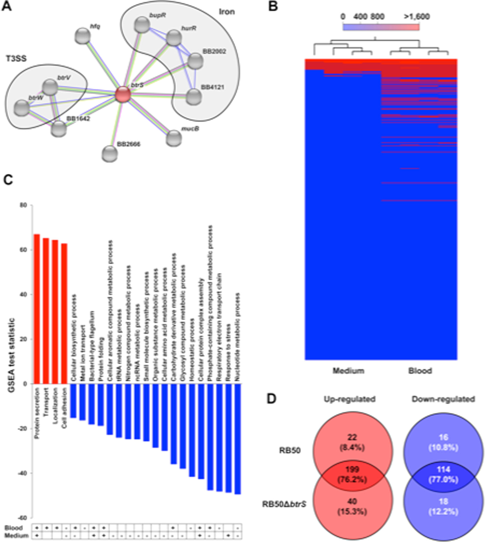 Enhancement Of Immune Response Against Bordetella Spp By Disrupting Immunomodulation Scientific Reports