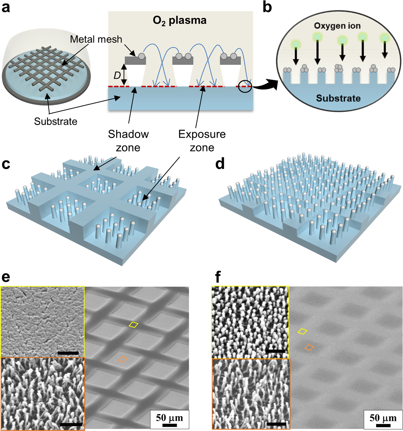 Area-Selective Etching of Poly(methyl methacrylate) Films by