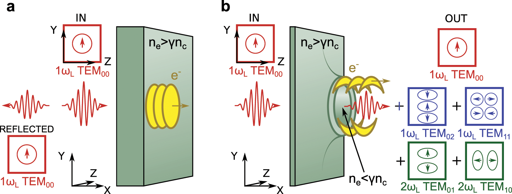 High order mode structure of intense light fields generated via a laser-driven  relativistic plasma aperture | Scientific Reports