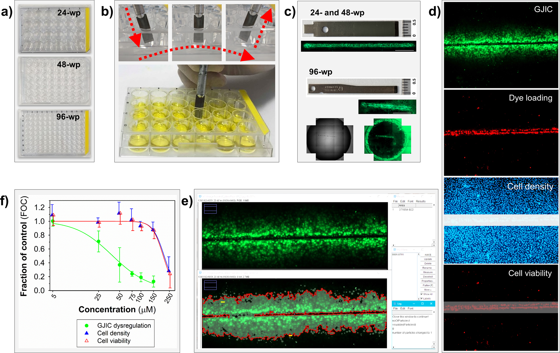 Improved multiparametric scrape loading-dye transfer assay for a  simultaneous high-throughput analysis of gap junctional intercellular  communication, cell density and viability | Scientific Reports