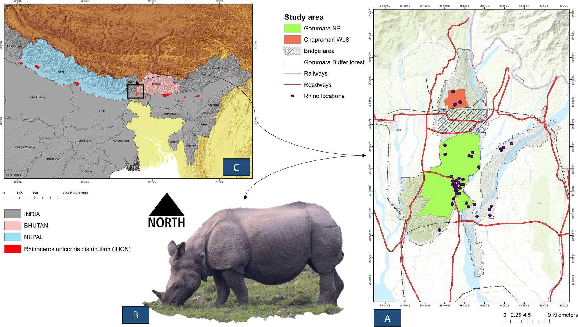 Past, Present and Future: Combining habitat suitability and future  landcover simulation for long-term conservation management of Indian rhino  | Scientific Reports