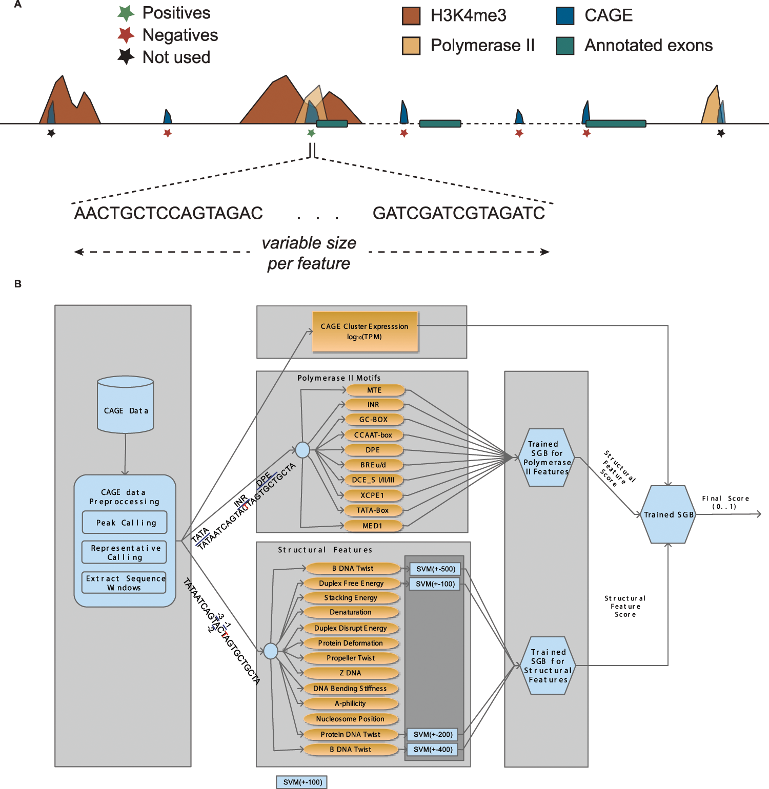 Solving the transcription start site identification problem with ADAPT-CAGE:  a Machine Learning algorithm for the analysis of CAGE data | Scientific  Reports