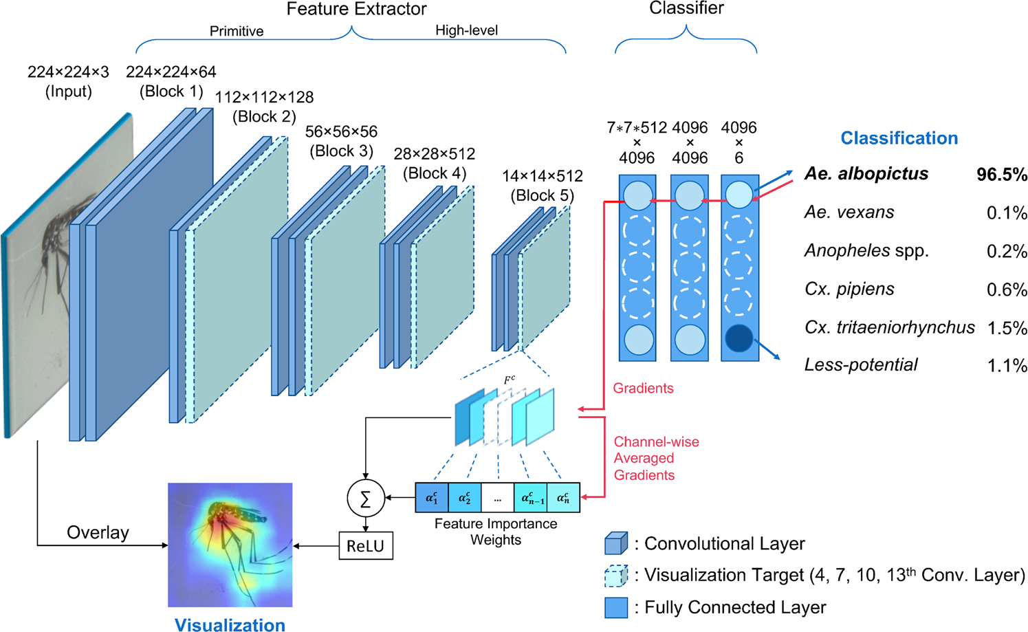 Classification and Morphological Analysis of Vector Mosquitoes using Deep  Convolutional Neural Networks | Scientific Reports