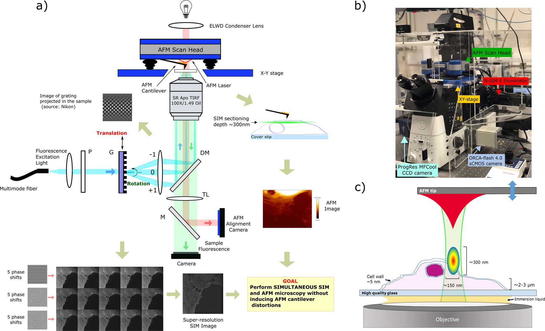 Simultaneous co-localized super-resolution fluorescence microscopy and atomic  force microscopy: combined SIM and AFM platform for the life sciences |  Scientific Reports