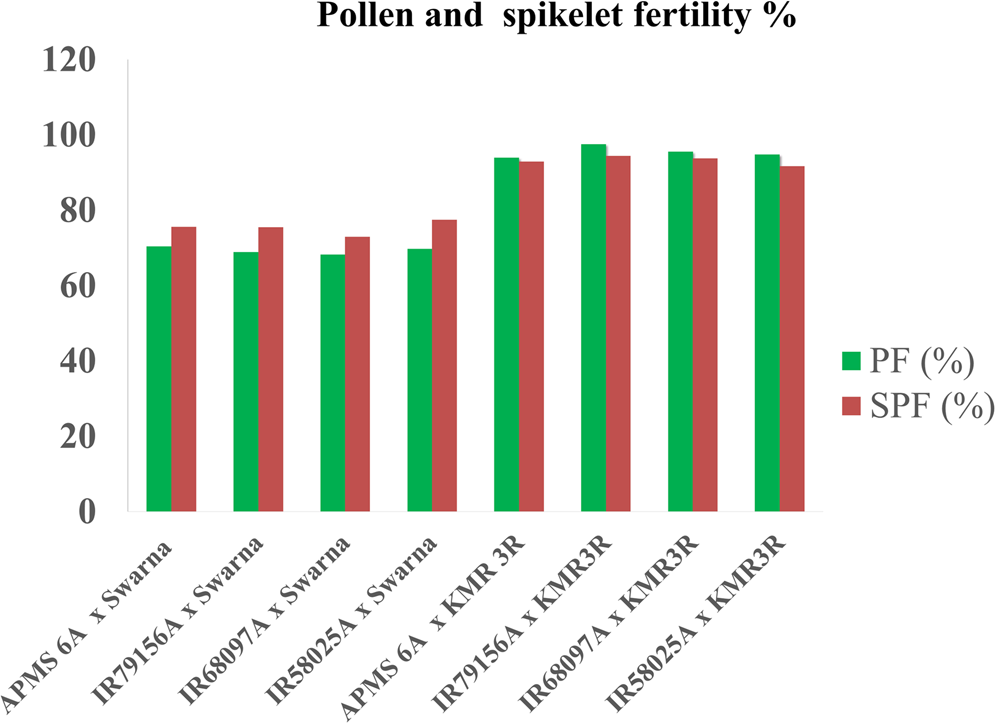 Conversion Of Partial Restorer Swarna Into Restorer By Transferring Fertility Restorer Rf Gene S Through Marker Assisted Back Cross Breeding Mabb In Rice Scientific Reports