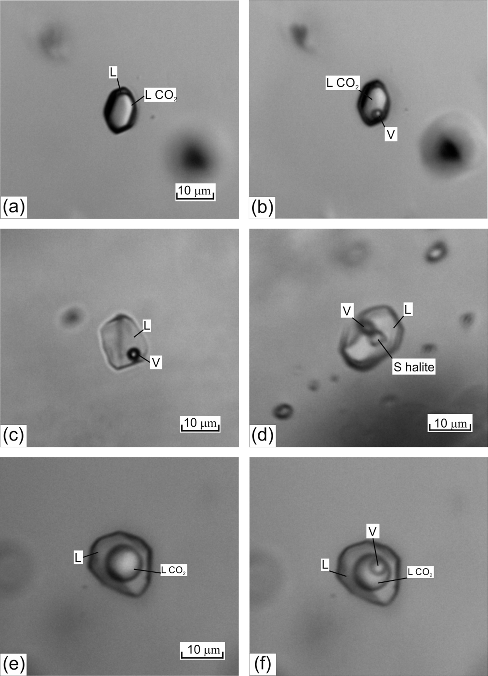 Exceptional Concentrations of Gold Nanoparticles in 1,7 Ga Fluid Inclusions  From the Kola Superdeep Borehole, Northwest Russia | Scientific Reports