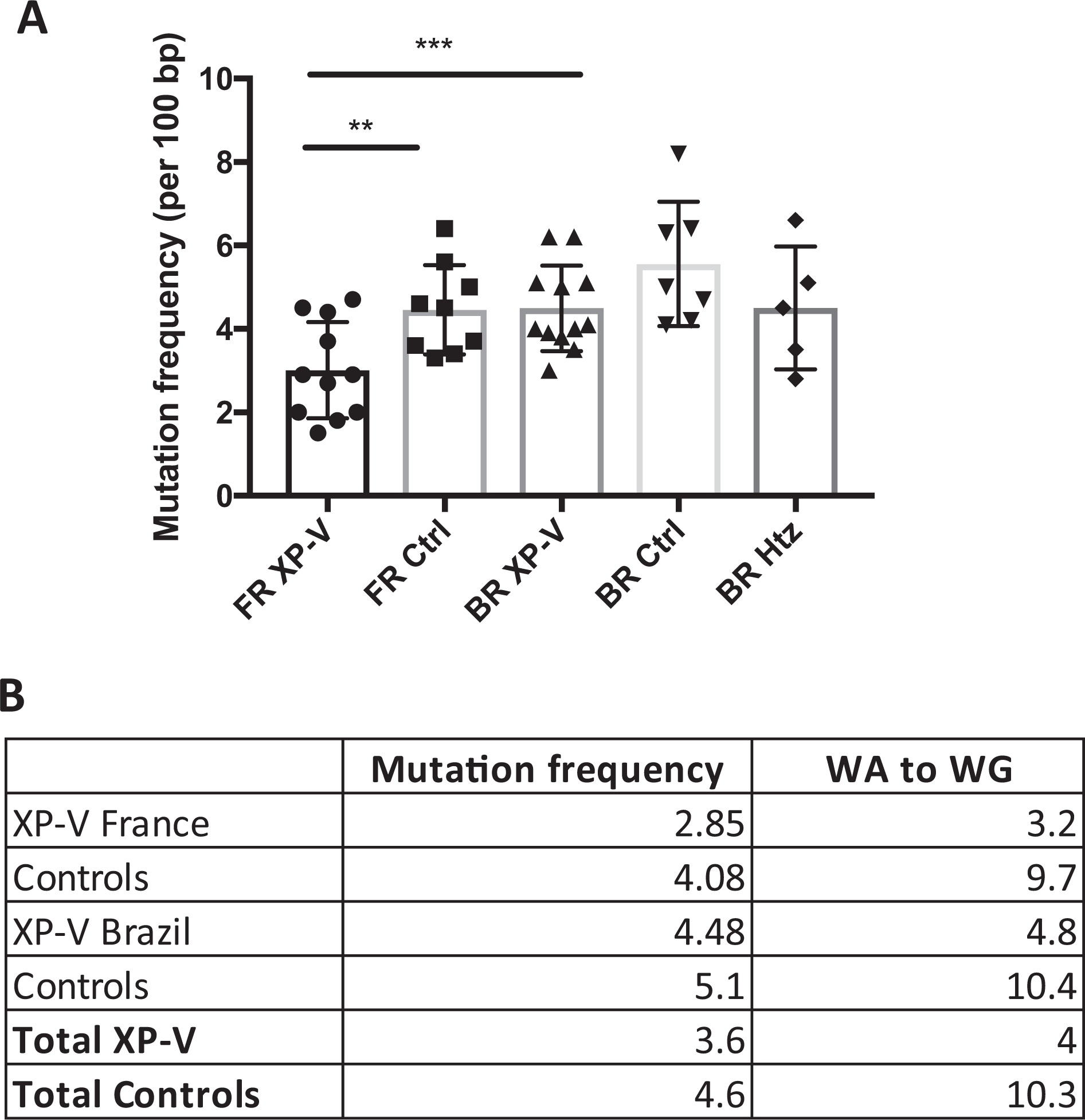 Large Deletions In Immunoglobulin Genes Are Associated With A