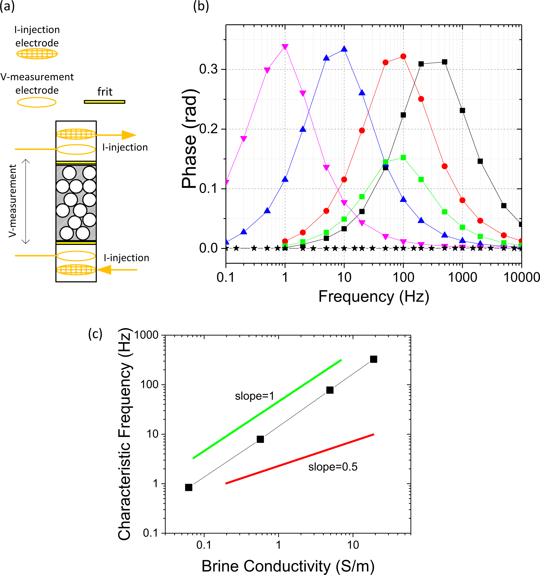 Quantifying Induced Polarization Of Conductive Inclusions In Porous Media And Implications For Geophysical Measurements Scientific Reports Quantifying Induced Polarization Of Conductive Inclusions In Porous Media And Implications For Geophysical Measurements Scientific Reports