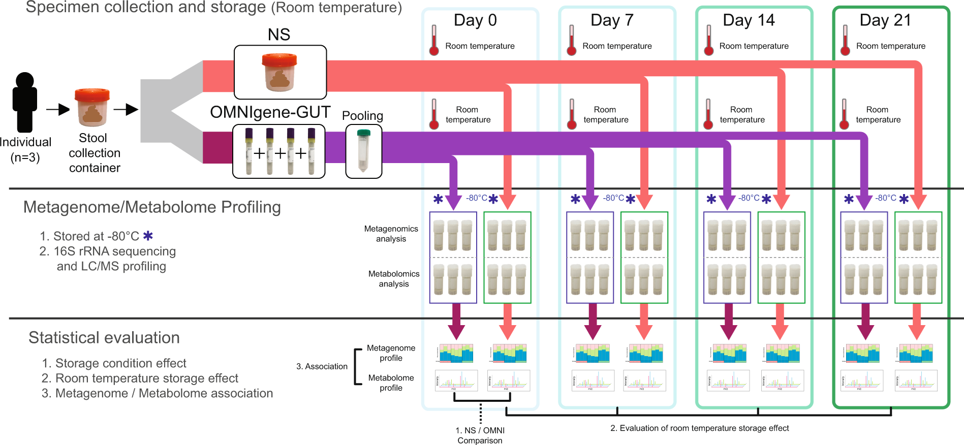 16 s секвенирование микробиоты. 16s rrna gene sequencing. 16 s секвенирование микробиоты. Анализ гена 16s ррнк. 16 s секвенирование микробиоты.
