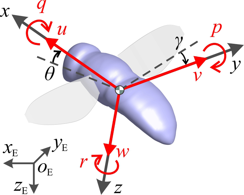 Forward flight stability in a drone-fly | Scientific Reports