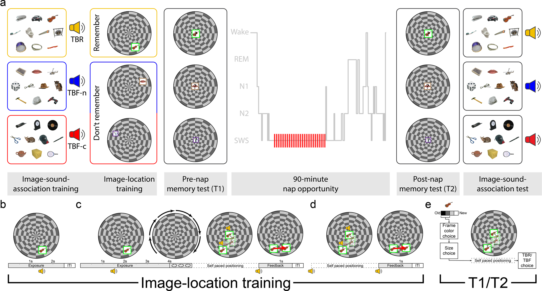 Download Targeted Memory Reactivation During Sleep Boosts Intentional Forgetting Of Spatial Locations Scientific Reports PSD Mockup Templates