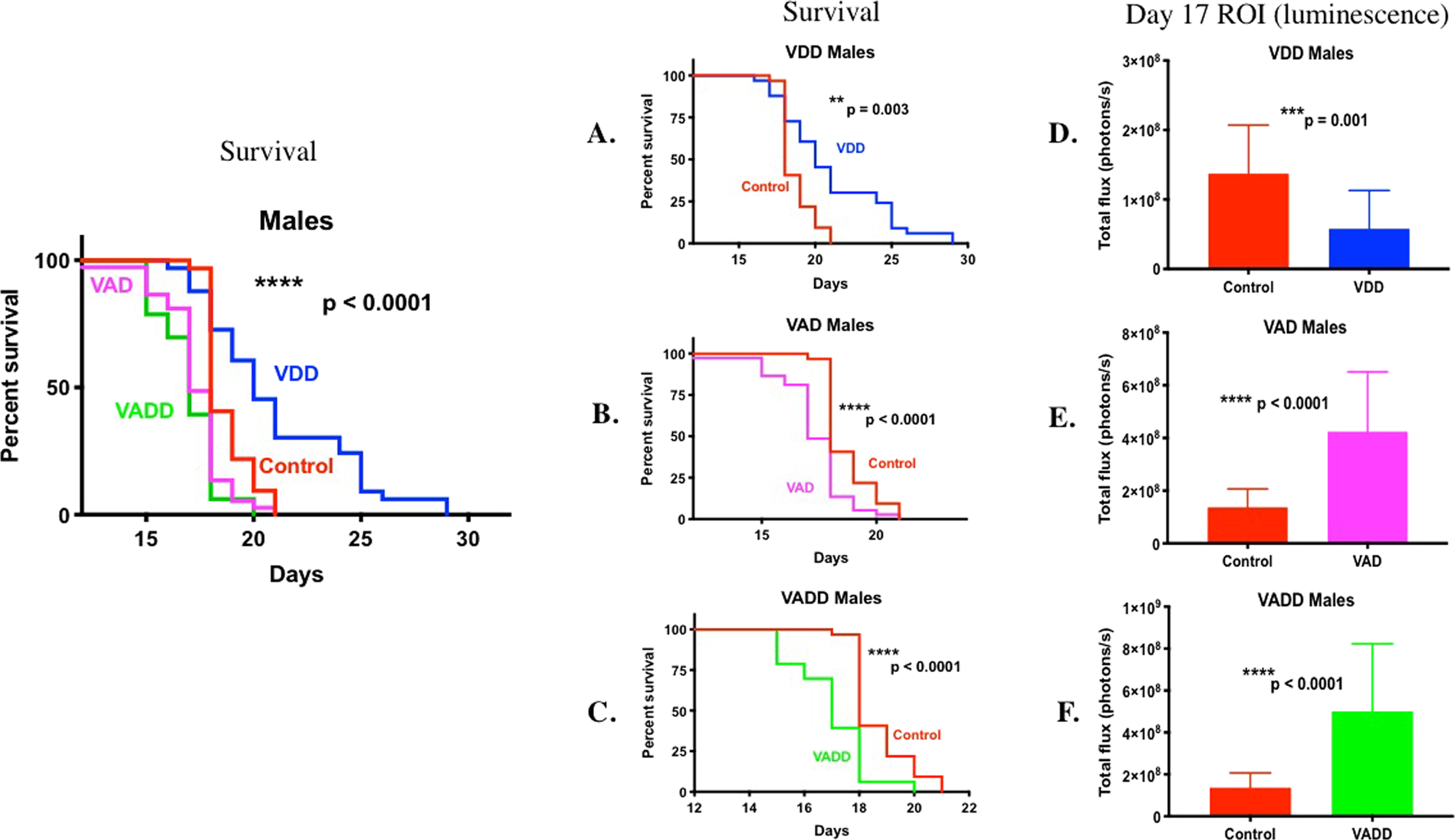 Role of Vitamins A and D in BCR-ABL Arf−/− Acute Lymphoblastic Leukemia |  Scientific Reports