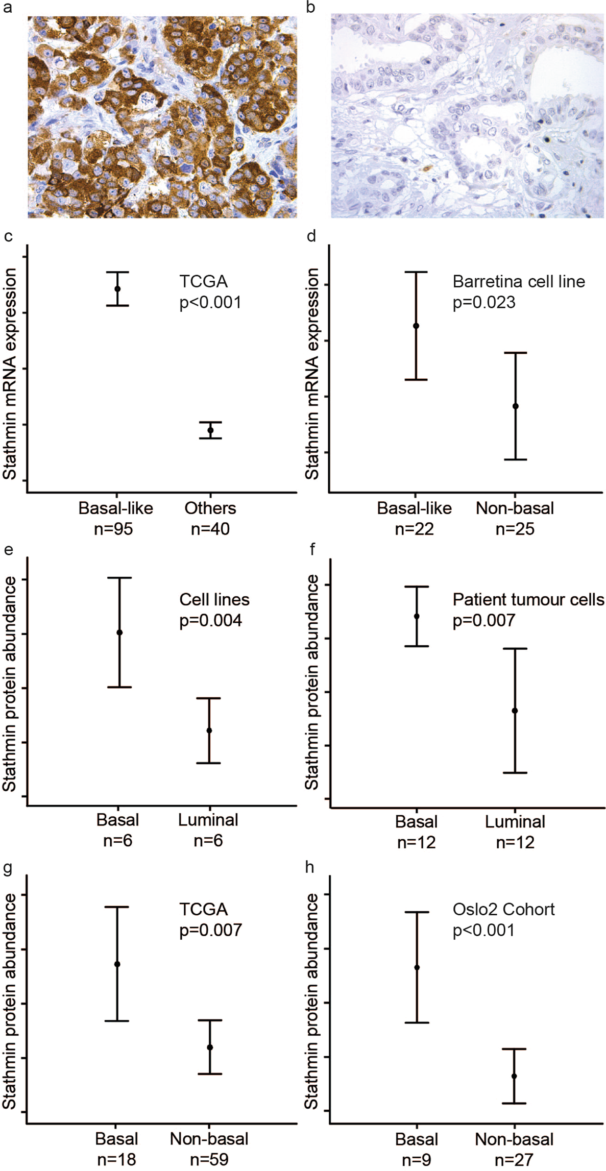 Stathmin Expression Associates With Vascular And Immune Responses In Aggressive Breast Cancer Subgroups Scientific Reports