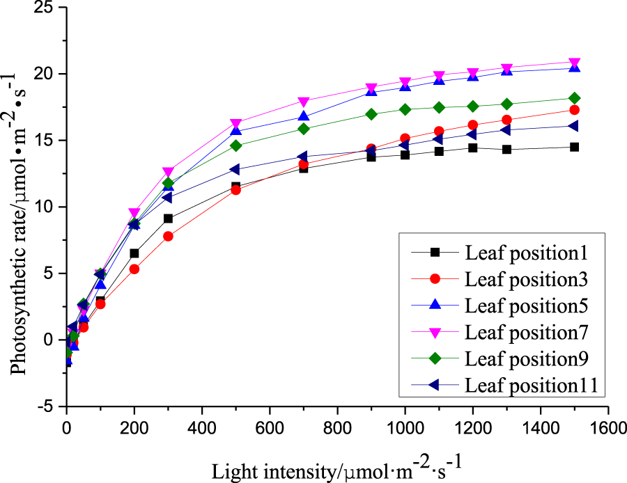 How much light does Tape grass need for photosynthesis? - PictureThis